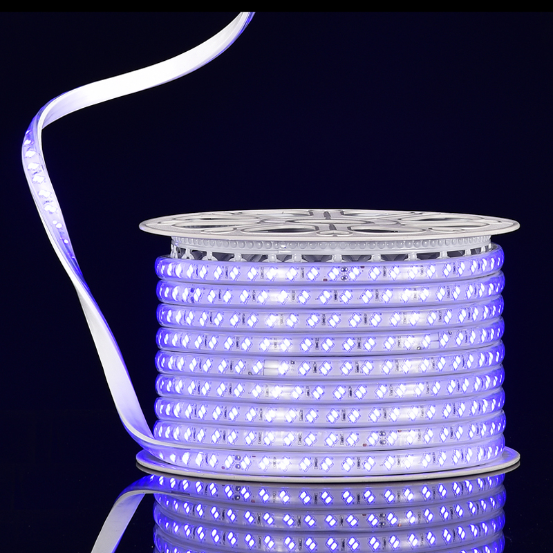 BEVEL DOUBLE ROWS 5730 120L 12mm BLUE LED STRIP LIGHT